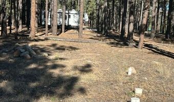 CR N2121, Alpine, AZ 85920