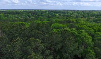 23826 Opine Rd, Andalusia, AL 36421