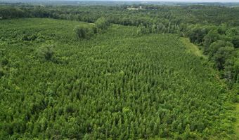 0 County Road 204, Ariton, AL 36311