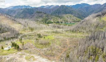 91747 BLUE RIVER RESERVOIR Rd, Blue River, OR 97413