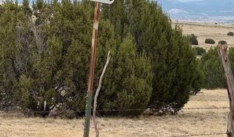 76 County Road 8010, Concho, AZ 85924