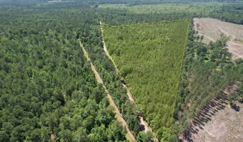 0 Five Notch Rd, Bradley, SC 29848