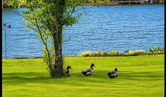 979 SNOW LAKE Dr, Ashland, MS 38603