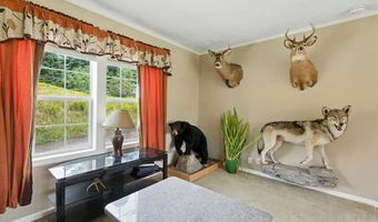 3851 VT Route 215 N, Cabot, VT 05647