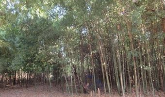 133 Holly Rd, Absecon, NJ 08201