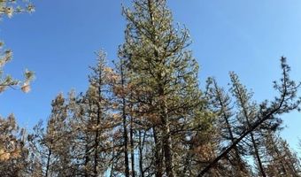 Hummingbird Drive, Bonanza, OR 97623