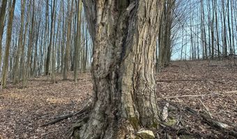 Lot 4 Mud Run Rd, Addison, NY 14801