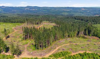 Tunnel Tract Parcel2, Banks, OR 97106