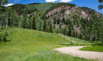 640 S Hayden Rd, Aspen, CO 81611