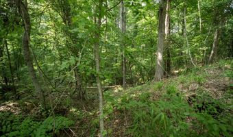 U.s. 49, Bentonia, MS 39040