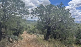 415 XYZ, Arenas Valley, NM 88022