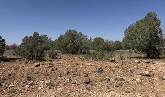 W26 Prairie Dog Road, Ash Fork, AZ 86320