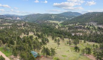 839 Ski Rd, Allenspark, CO 80510