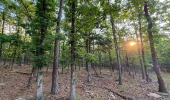 Old Moyers Road, Antlers, OK 74523