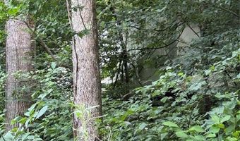 99999 Paint Fork Rd, Barnardsville, NC 28709