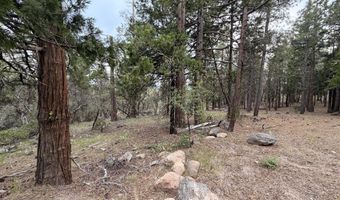Porpoise Lane 15, Bonanza, OR 97623