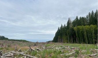 Northrup Creek Rd, Birkenfeld, OR 97016