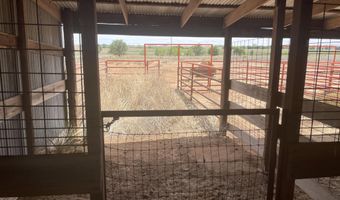 16903 N County Rd 2000, Abernathy, TX 79311