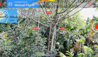 16 TH Ave, Keaau, HI 96749