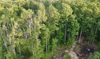 3206 HIDDEN RIDGE Rd, Alanson, MI 49706