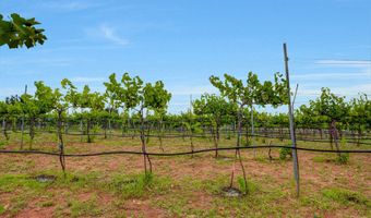 14 COUNTY ROAD 5309, Concho, AZ 85924