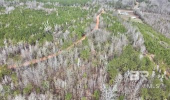 21000 Block Highway 21, Beatrice, AL 36425