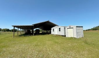 6491 Wolf Pond Rd, Bascom, FL 32423