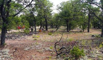 Blue water, Bluewater, NM 87005
