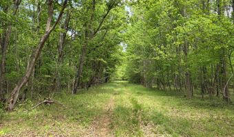 N Osborntown Rd, Arlington, TN 38002