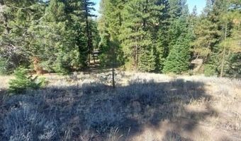 1 Acre McKenney Dr, Alturas, CA 96101