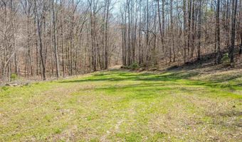 163 Acres Duck Springs Rd, Attalla, AL 35954