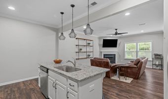 605 Metro Sta, Apex, NC 27502