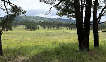 1 A FOREST ROAD 26, Alpine, AZ 85920