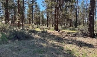 Ruddy Duck Drive Lot 5, Bonanza, OR 97623