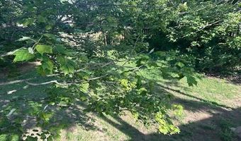 7181 Maple, Alanson, MI 49706