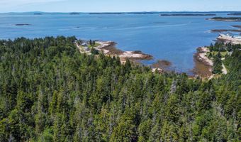 Lot 9-1 Black Duck Cove Road, Beals, ME 04611