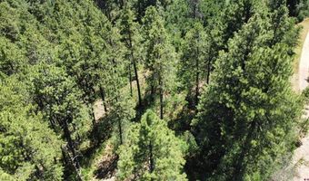 166 Jackalope Dr, Bayfield, CO 81122