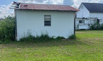 4180 McConnell Bridge Rd, Adel, GA 31620