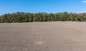 County Road 236 lot 4, Bell, FL 32619