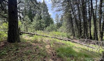 Tbd Hilltop Rd, Cascade, ID 83611