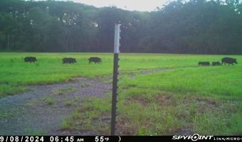1226 Joe Kidder Rd, Arnaudville, LA 70512