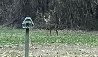 27890 S D Dr S, Albion, MI 49224