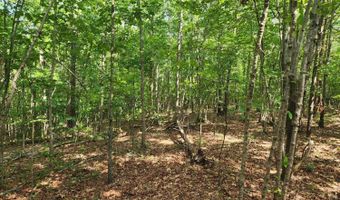 0- Lot 1-1 Red House, Appomattox, VA 24522