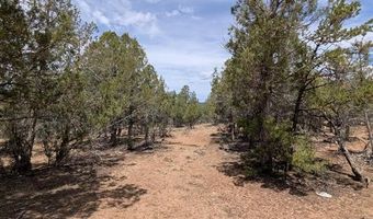 160 Cedar Dr, Arboles, CO 81121