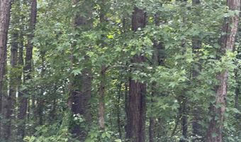 Sr 1916 & 1917, Aurora, NC 27806
