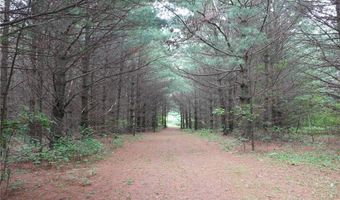 6 Xx US Highway 8, Apple River, WI 54001