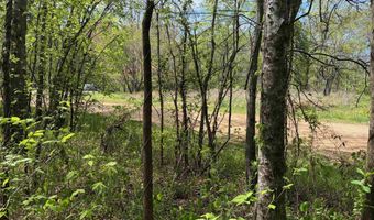 105 106 TOWBOAT Ln Lot 105 106, Adamsville, TN 38310