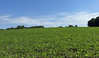 9891 Baskerville Rd, Baskerville, VA 23915