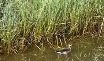 7069 Mainwaring Rd, Billings, MT 59002