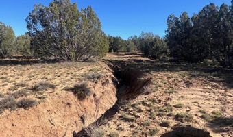 96 CR3041, Concho, AZ 85924